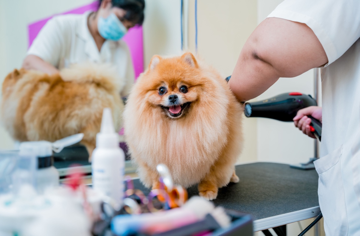 20 mobile businesses to start on your own schedule - MSN